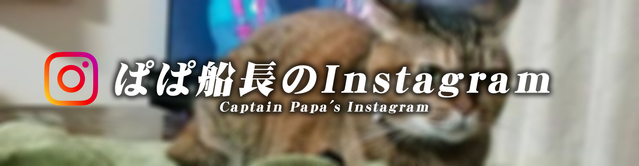 ぱぱ船長のInstagram